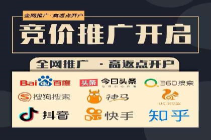 百度推广效果案例解析